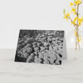Sedum Herbstfreude Karte (Gelbe Blume)