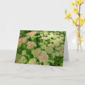 Sedum Herbstfreude Karte (Gelbe Blume)
