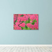 Sedum Herbstfreude Leinwanddruck (Insitu (Holzboden))