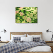 Sedum Herbstfreude Leinwanddruck (Insitu (Schlafzimmer))