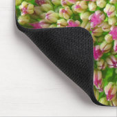 Sedum Herbstfreude Mousepad (Ecke)