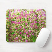 Sedum Herbstfreude Mousepad (Mit Mouse)
