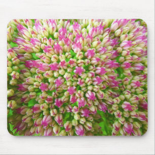 Sedum Herbstfreude Mousepad