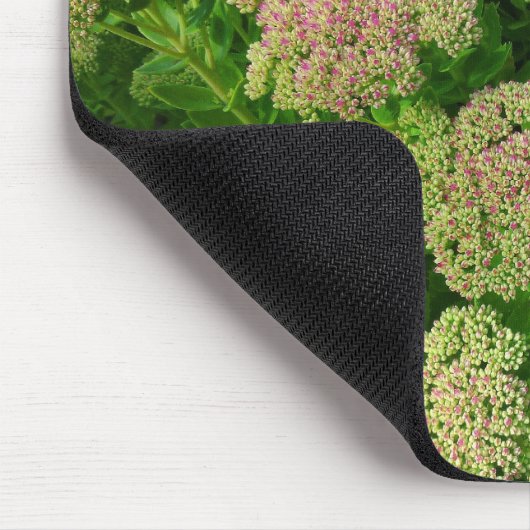 Sedum "Herbstfreude" Mousepad (Ecke)