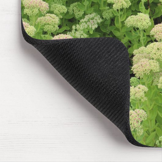 Sedum "Herbstfreude" Mousepad (Ecke)