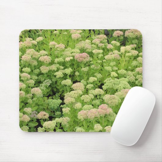 Sedum "Herbstfreude" Mousepad (Mit Mouse)