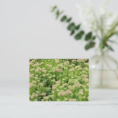 Sedum (Herbstfreude) Visitenkarte (Stehend Vorderseite)