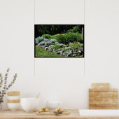 Sedum Silvers Pinks Rock Garden Poster (Küche)