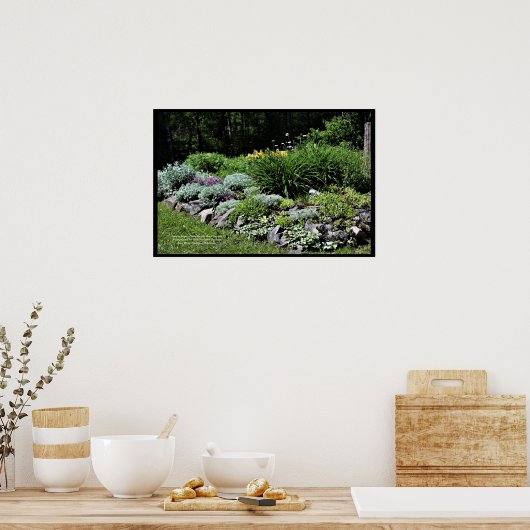 Sedum Silvers Pinks Rock Garden Poster (Küche)