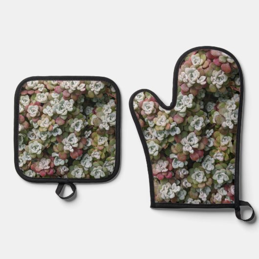 Sedum Spathulifolium Stonecrop Botanisch Ofenhandschuh & Topflappen-Set (Vorderseite)