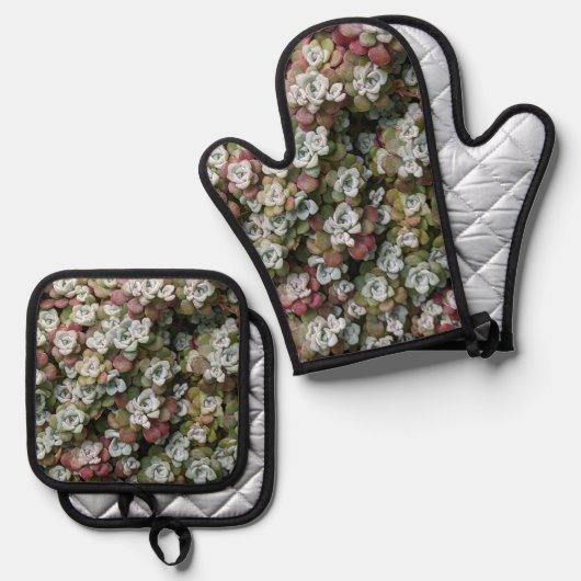 Sedum Spathulifolium Stonecrop Botanisch Ofenhandschuh & Topflappen-Set (Vorderseite/Rückseite)
