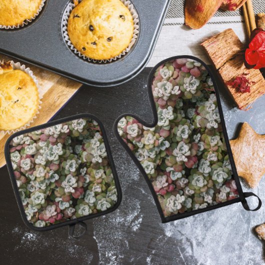 Sedum Spathulifolium Stonecrop Botanisch Ofenhandschuh & Topflappen-Set