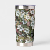 Sedum Spathulifolium Stonecrop Botanisch Thermobecher (Links)