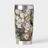 Sedum Spathulifolium Stonecrop Botanisch Thermobecher (Rückseite)