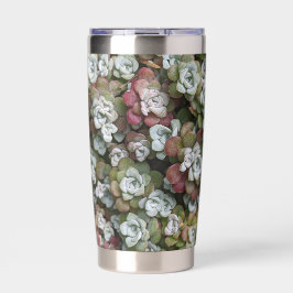 Sedum Spathulifolium Stonecrop Botanisch Thermobecher