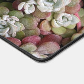 Sedum Spathulifolium Stonecrop Floral Schreibtischunterlage (Ecke)