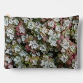 Sedum Spathulifolium Stonecrop Floral Zubehörtasche (Vorderseite)