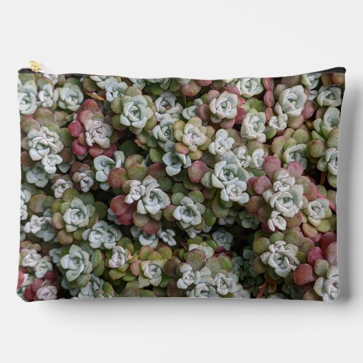 Sedum Spathulifolium Stonecrop Floral Zubehörtasche (Vorderseite)