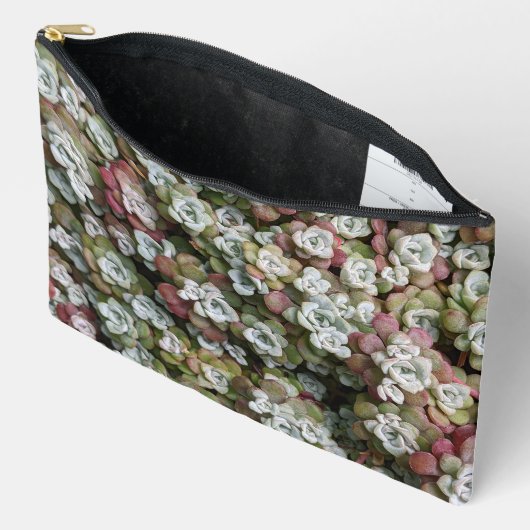 Sedum Spathulifolium Stonecrop Floral Zubehörtasche (Offen)