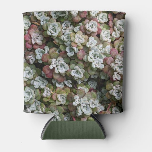 Sedum Spathulifolium Succules floral Dosenkühler (Vorderseite)