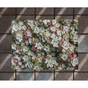 Sedum Spathulifolium Succules floral Fußmatte