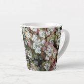 Sedum Spathulifolium Succules floral Milchtasse (Rechte Ecke)