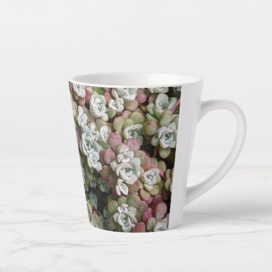 Sedum Spathulifolium Succules floral Milchtasse (Rechts)