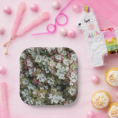 Sedum Spathulifolium Succules floral Pappteller (Party)