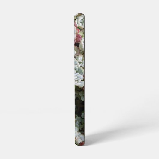 Sedum Spathulifolium Succules floral Samsung Galaxy Hülle (Linke Seite)