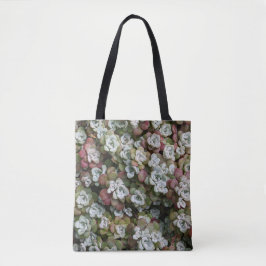 Sedum Spathulifolium Succules floral Tasche