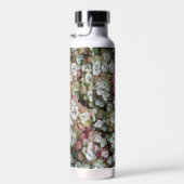 Sedum Spathulifolium Succules floral Trinkflasche (Rechts)