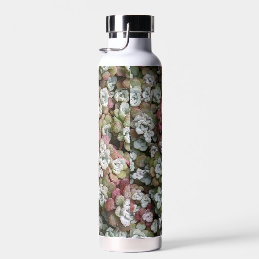 Sedum Spathulifolium Succules floral Trinkflasche (Rechts)