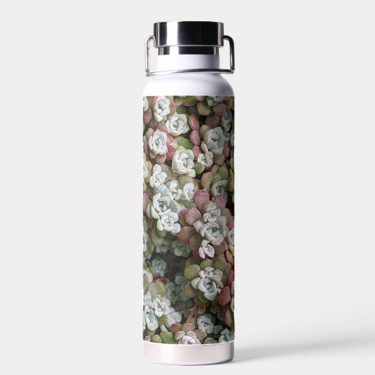 Sedum Spathulifolium Succules floral Trinkflasche (Rückseite)