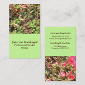 Sedum Visitenkarte (Vorne/Hinten)