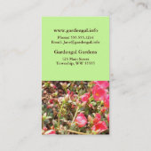 Sedum Visitenkarte (Rückseite)