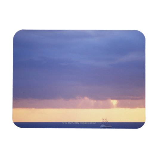 See 4 magnet (Horizontal)