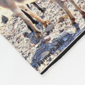 See-angenehme Esel-Fleece-Decke Fleecedecke (Ecke)