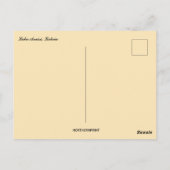 See Araisi Lettland Postkarte (Rückseite)
