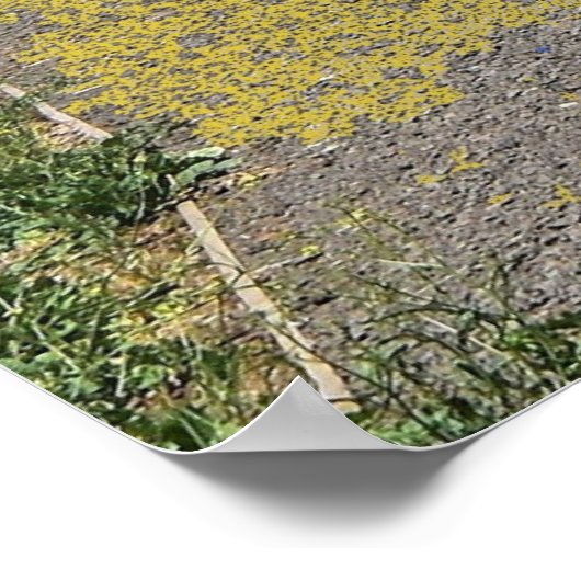 See Beeac Solo Tree Poster (Ecke)