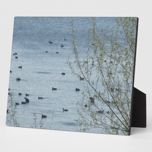 See Birds Plaque Fotoplatte (Seite)