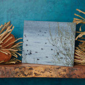 See Birds Plaque Fotoplatte (Seite)