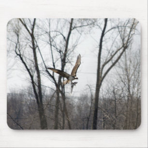 See Champlain Osprey Mousepad