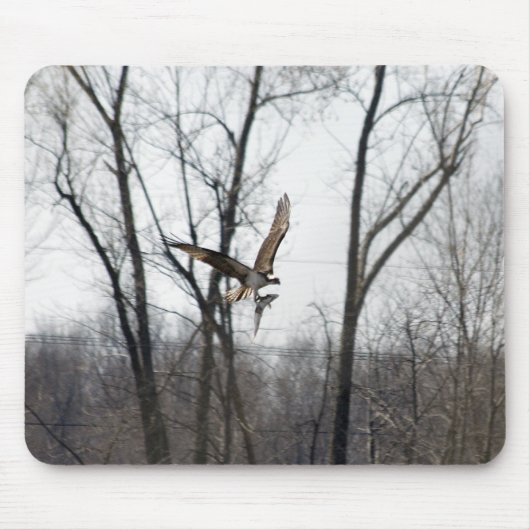 See Champlain Osprey Mousepad (Vorne)