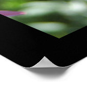 See Como Park Butterfly Poster (Ecke)