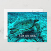 See dich bald! Schildkrötenpostkarte Postkarte (Vorne/Hinten)