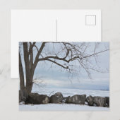 See Erie, Marblehead, Ohio Postkarte (Vorne/Hinten)