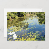 See Erie Metropark River View mit Logo Postkarte (Vorne/Hinten)