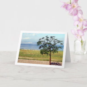 See Genezareth, israelische Landschaft Karte