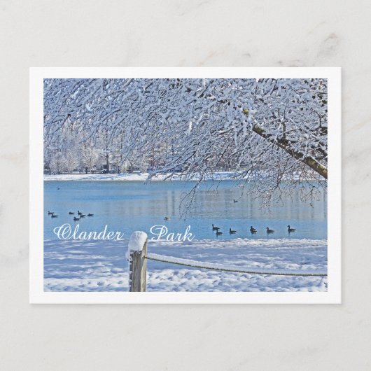 SEE IM WINTER/ÄLTERER PARK, SYLVANIEN, OH POSTKARTE (Vorderseite)