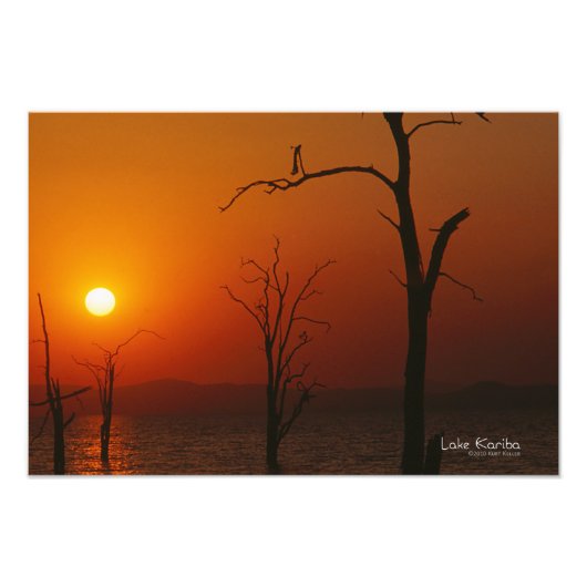 See Kariba Fotodruck (Vorne)